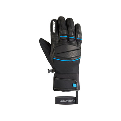 black.persian blue