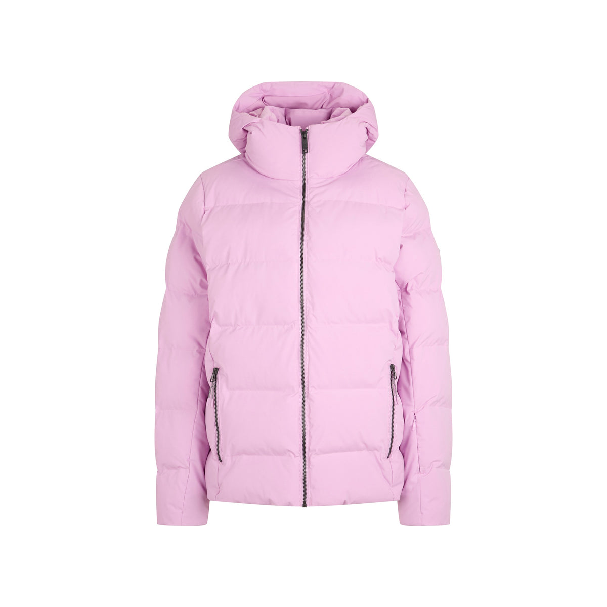 tulip pink