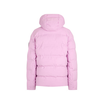 tulip pink