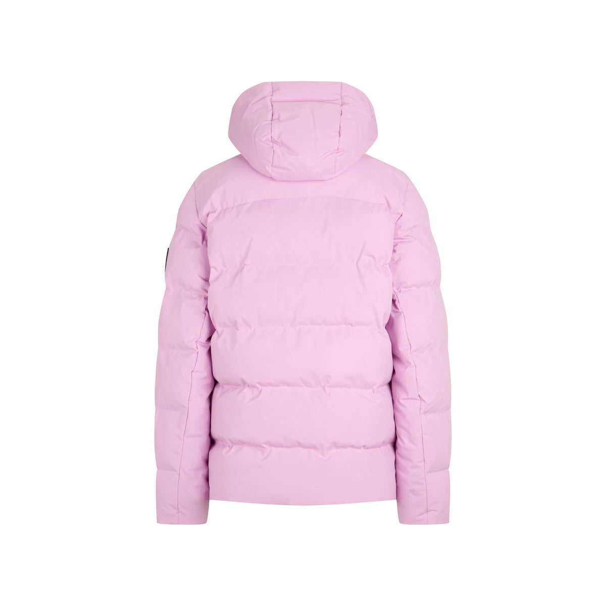 tulip pink